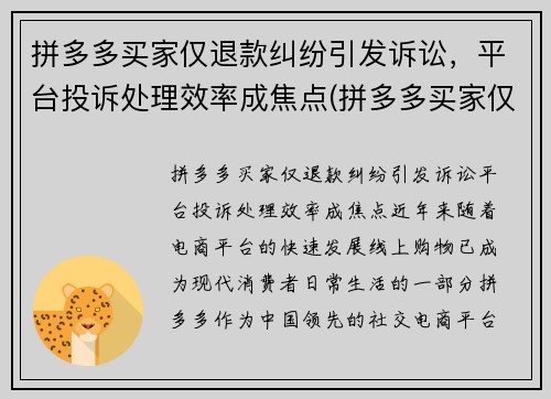 拼多多买家仅退款纠纷引发诉讼，平台投诉处理效率成焦点(拼多多买家仅退款申请质量问题怎么办)